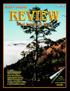 Review Magazine