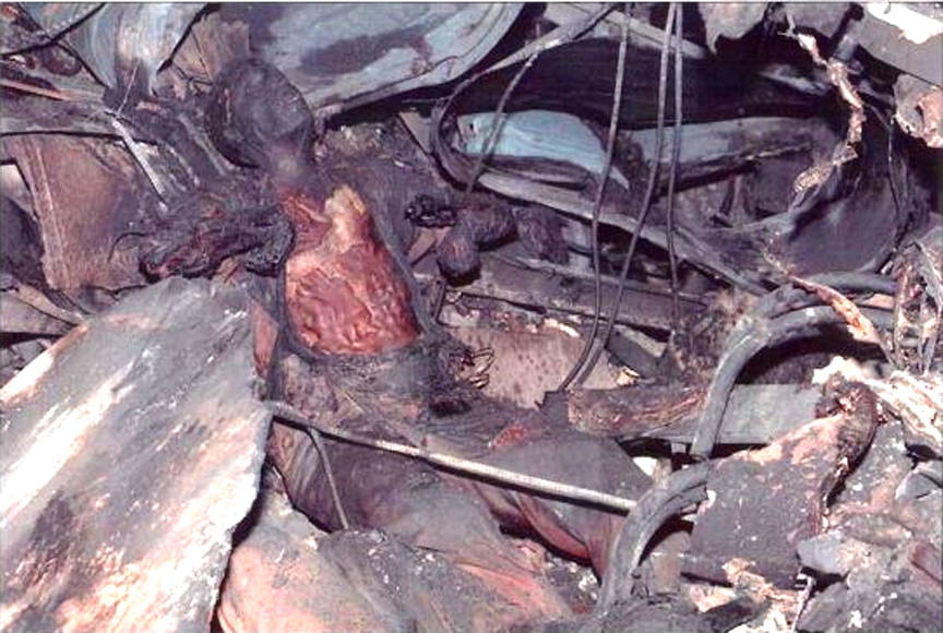 dead bodies from twin towers