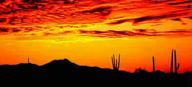 Sunset over Tucson Saguaro. Photo courtesy of Bob B. Yarborough / The Roving Eye - www.webshots.com 